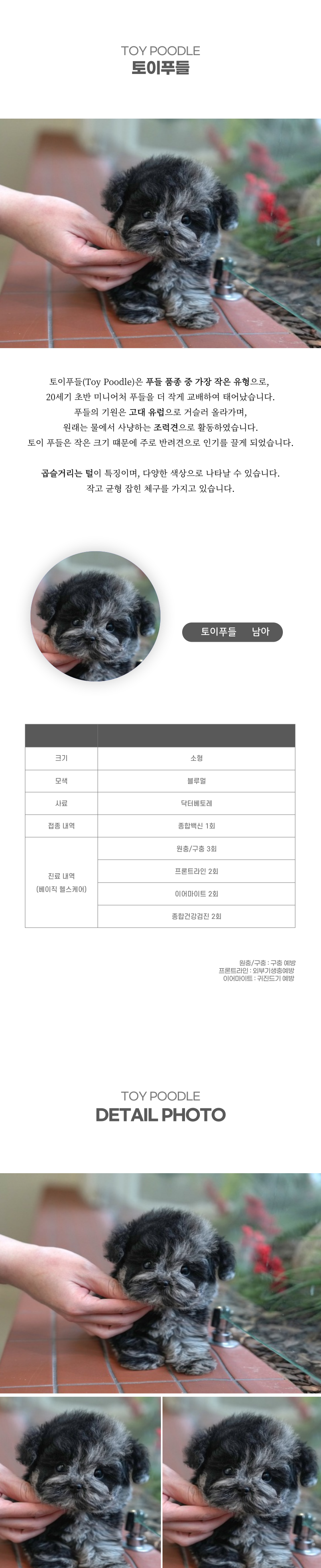 토이푸들_상세이미지_2